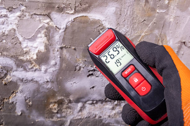 Best Best Mold Removal Companies  in South Boston, VA