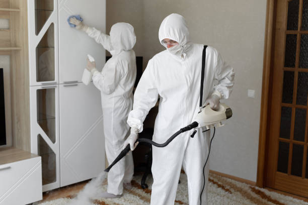 Best Office Mold Removal Services  in South Boston, VA