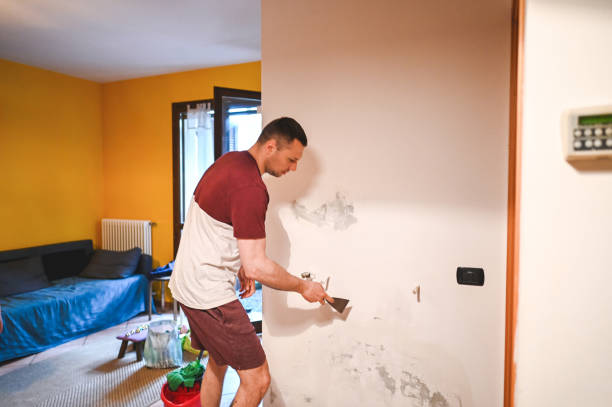 Best Mold Removal Near Me  in South Boston, VA